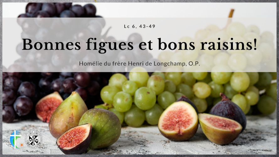 bonnes-figues-et-bons-raisins