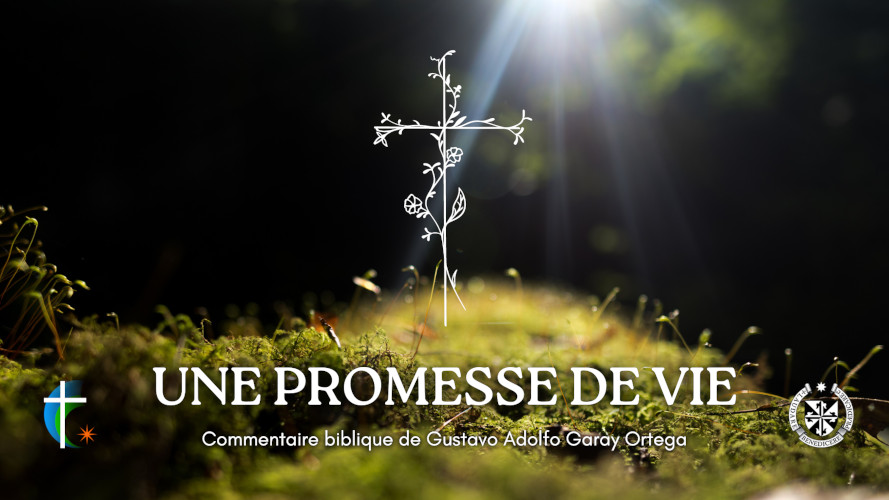 une-promesse-de-vie