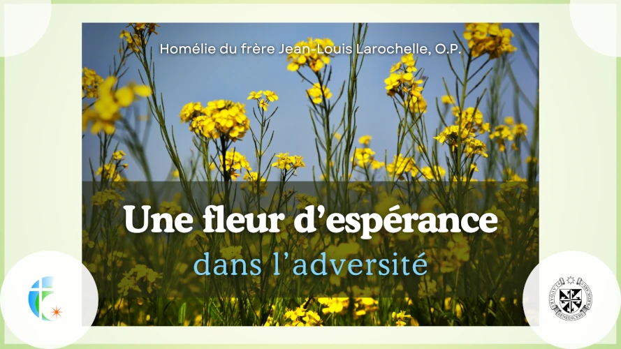 une-fleur-d-esperance-dans-l-adversite