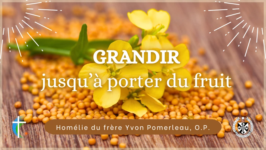 grandir-jusqu-a-porter-du-fruit