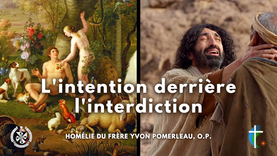 l-intention-derriere-l-interdiction