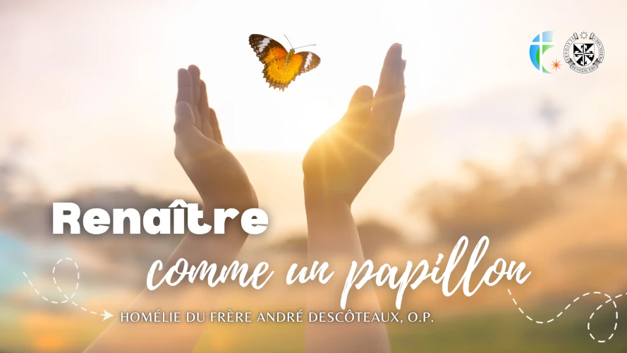 renaitre-comme-un-papillon