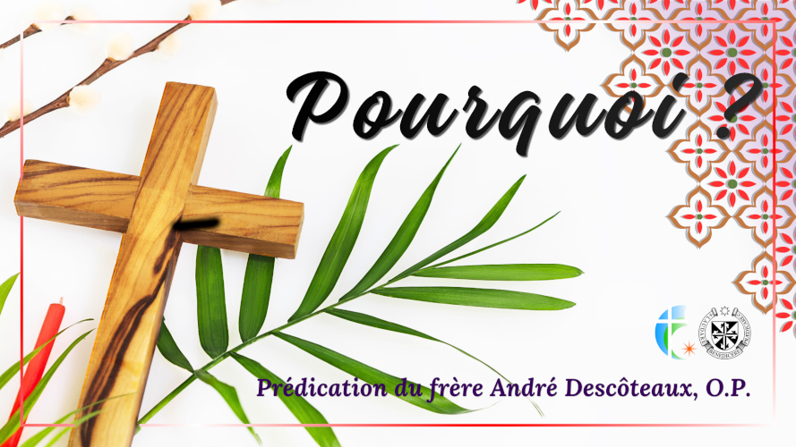 pourquoi?