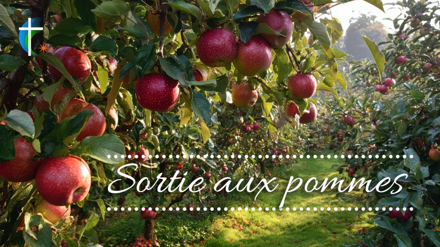sortie-aux-pommes-automne-2026